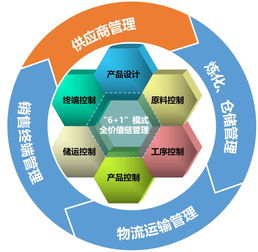 中国品牌日 | 富海集团与您共享品牌的力量 采购管理的价值重塑